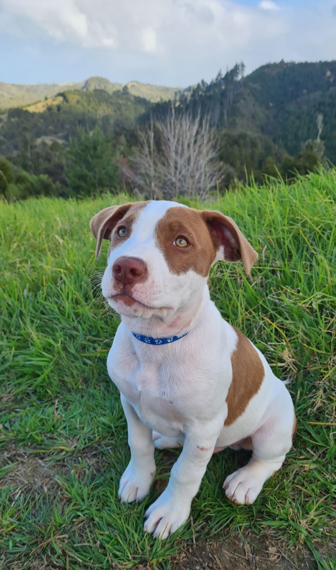 Gallery image: River