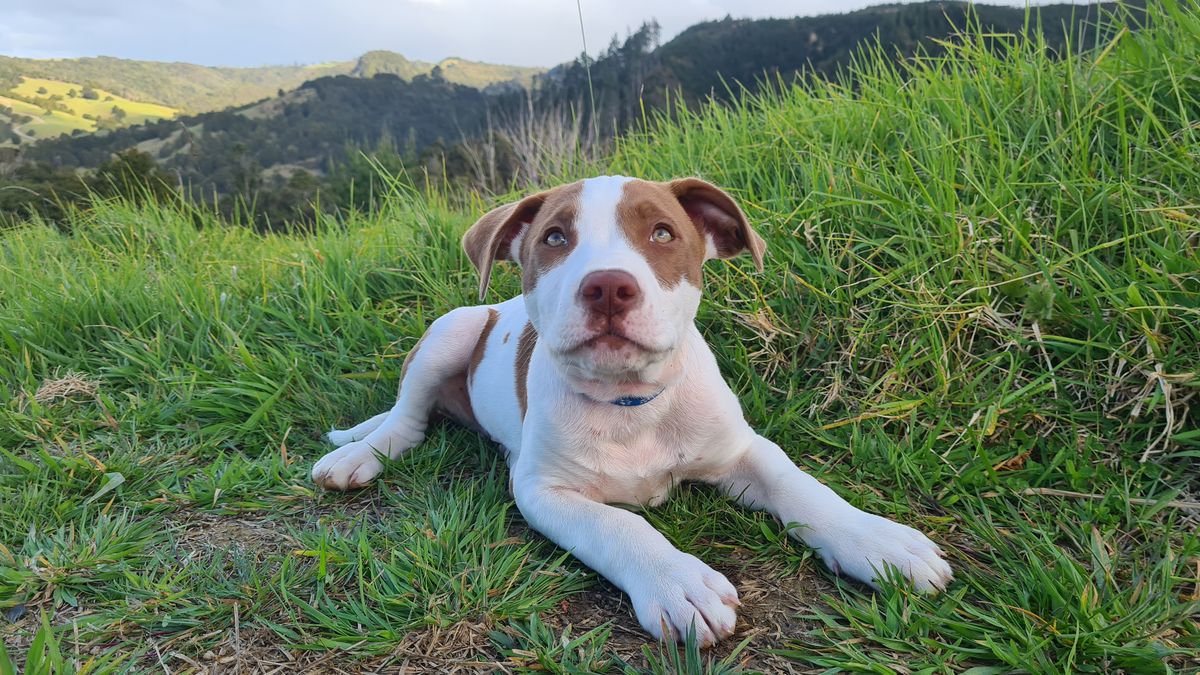 Gallery image: River