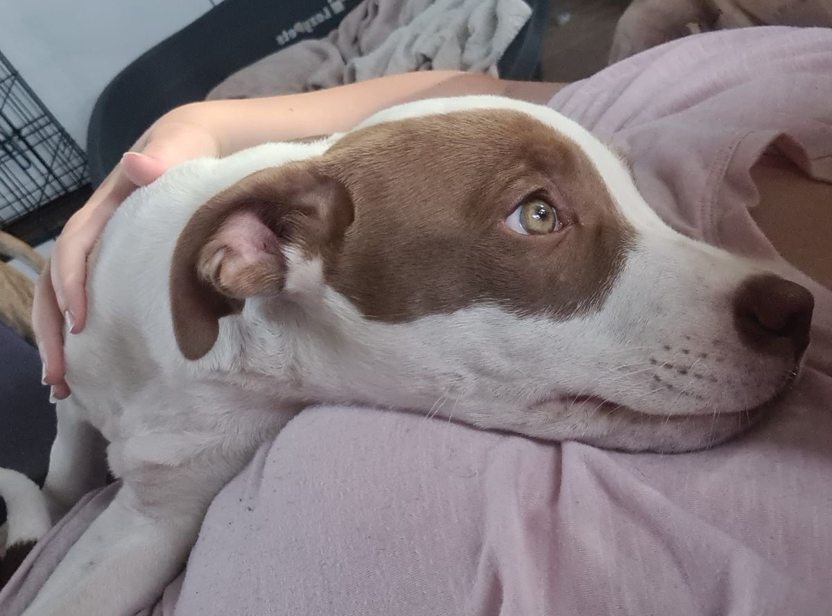 Gallery image: River