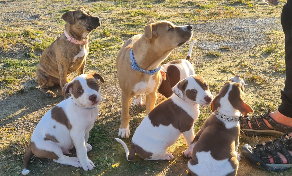 Gallery image: River