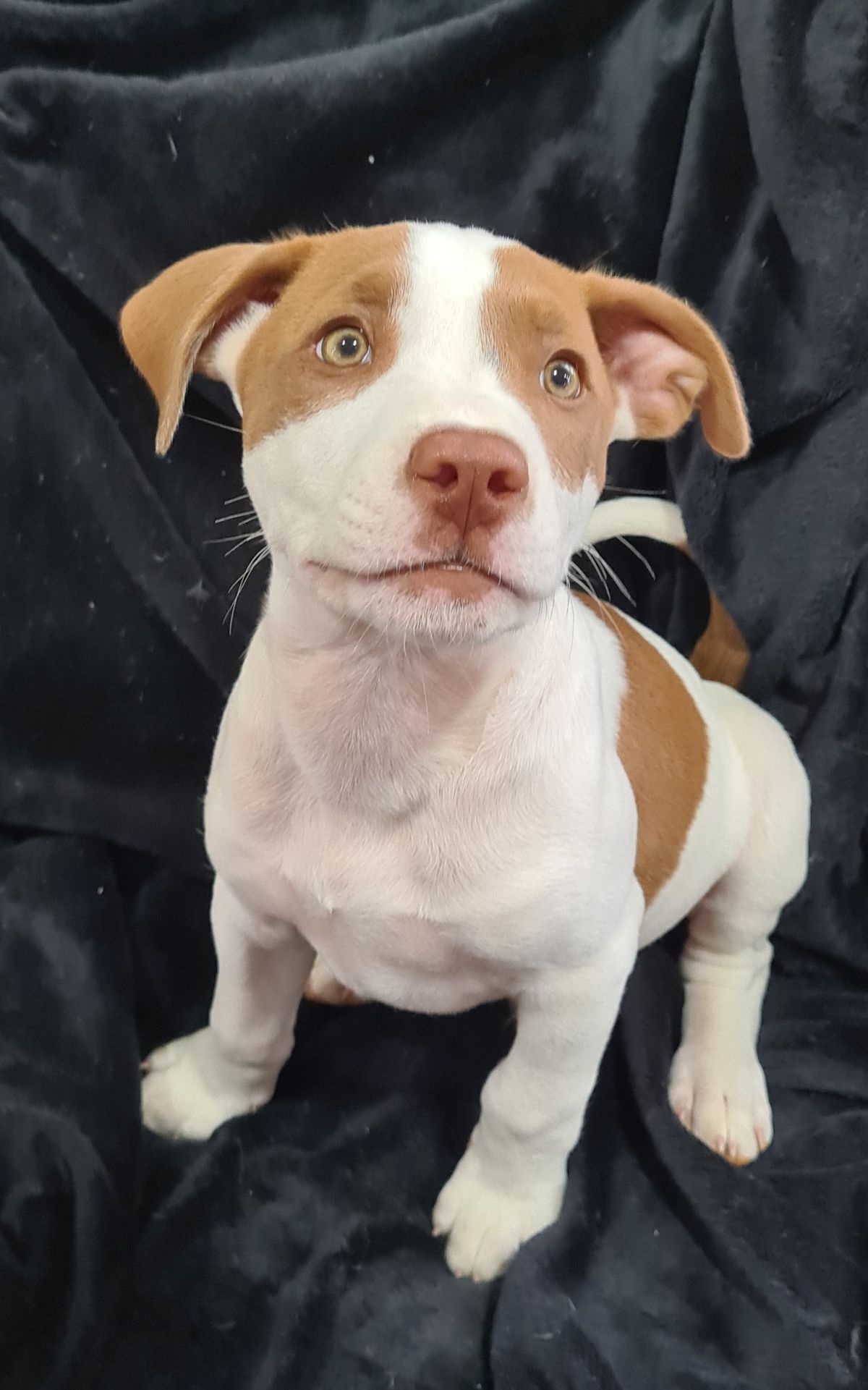 Gallery image: River