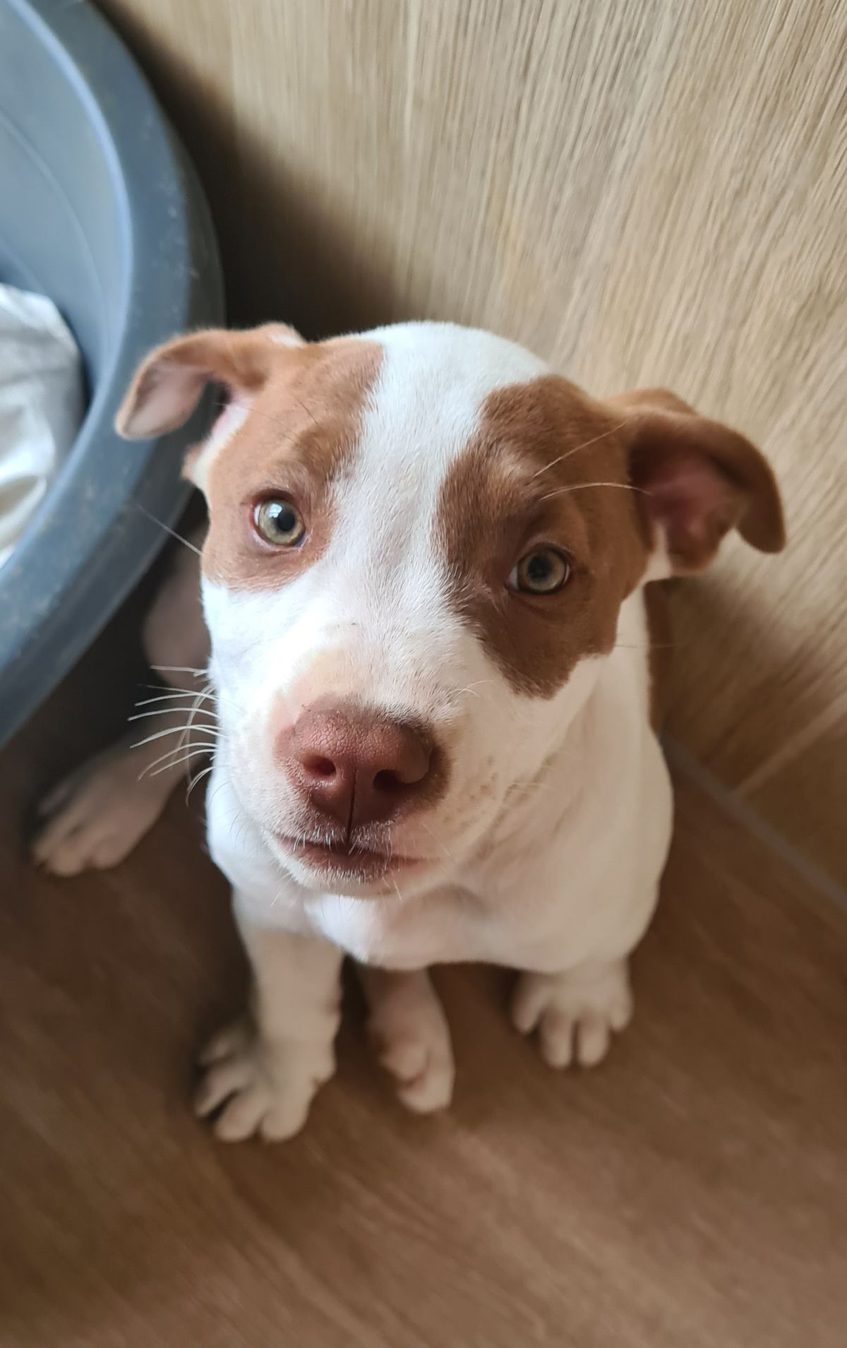 Gallery image: River