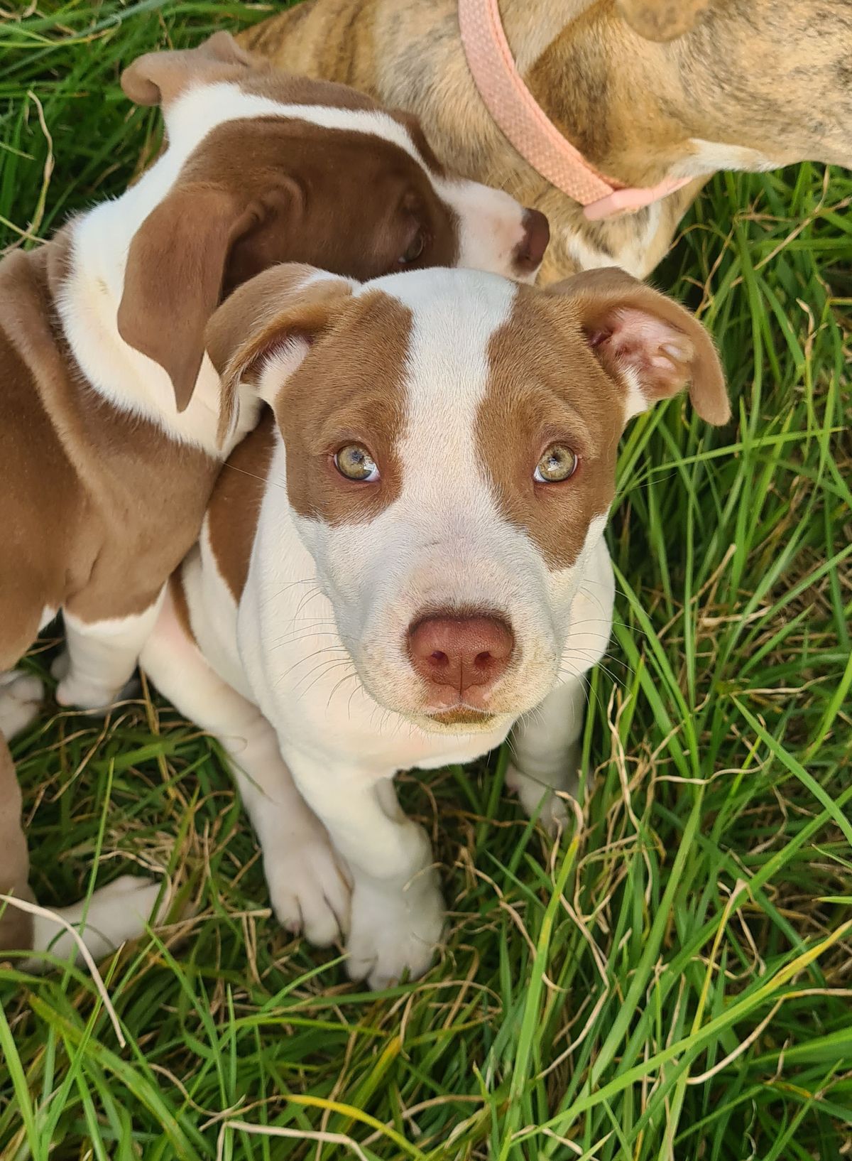 Gallery image: River