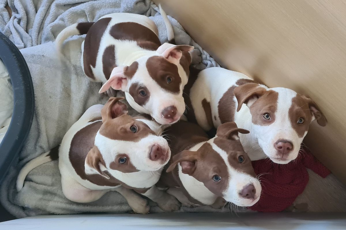 Gallery image: River