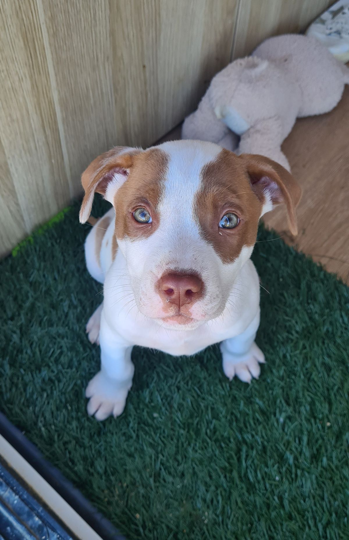 Gallery image: River