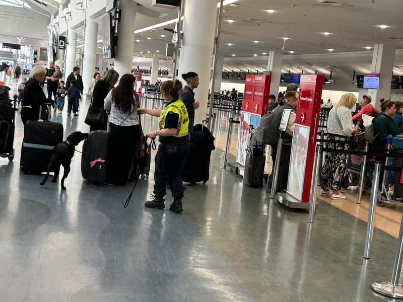 A black dog sniffs suitcases in the lobby of an airport.