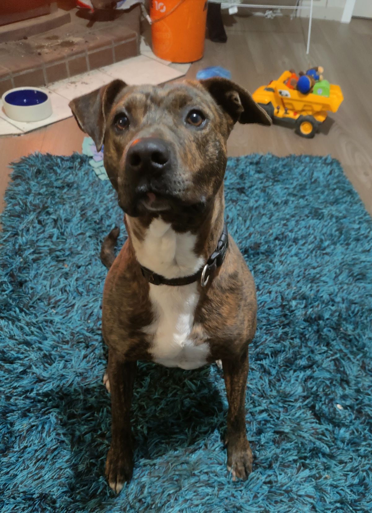 Gallery image: Arthur 