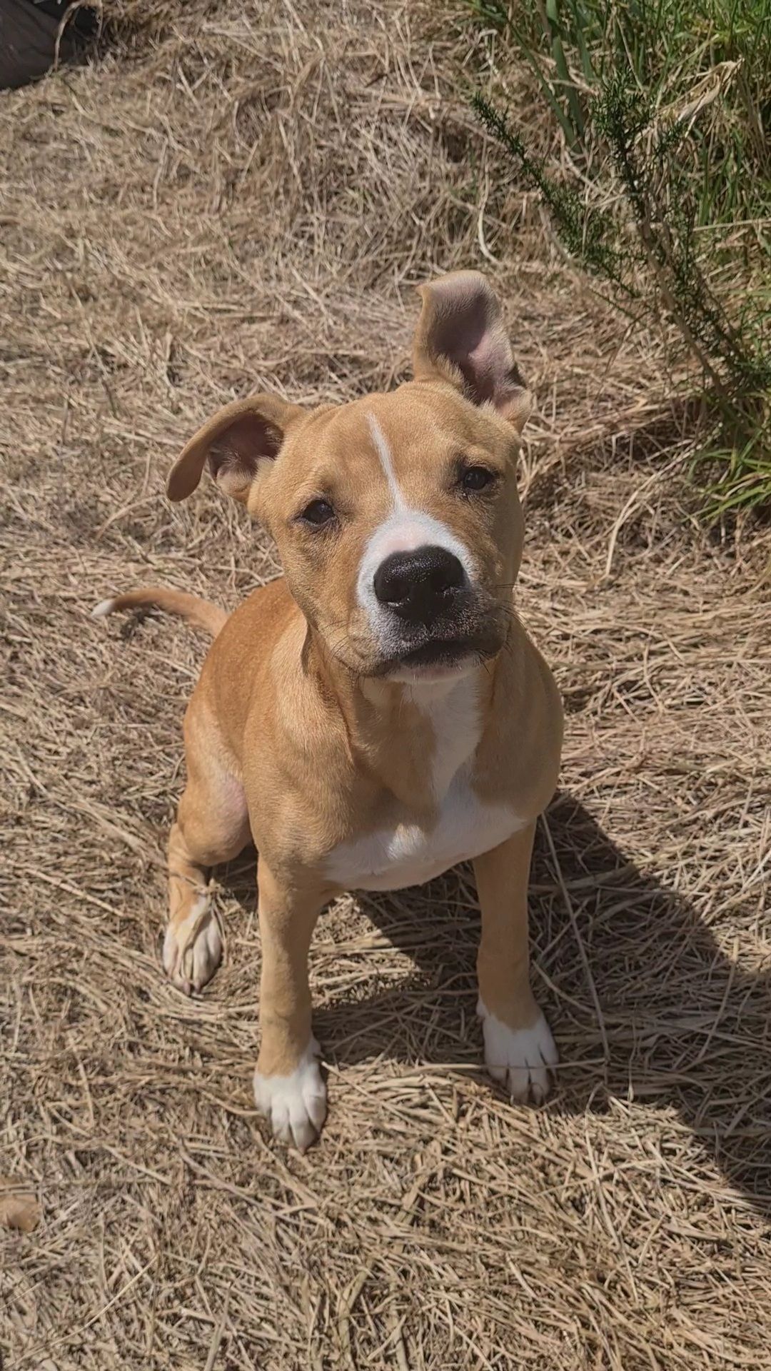 Gallery image: Harry