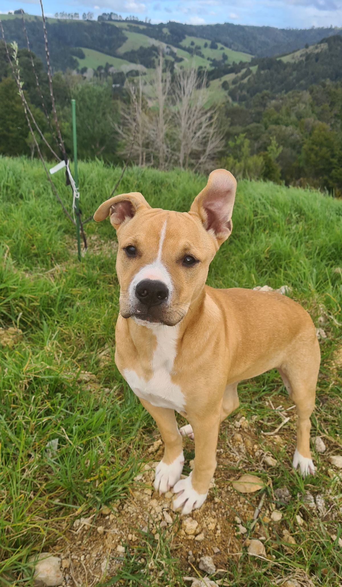 Gallery image: Harry