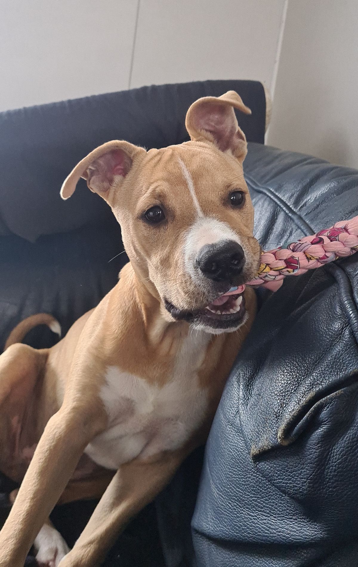 Gallery image: Harry