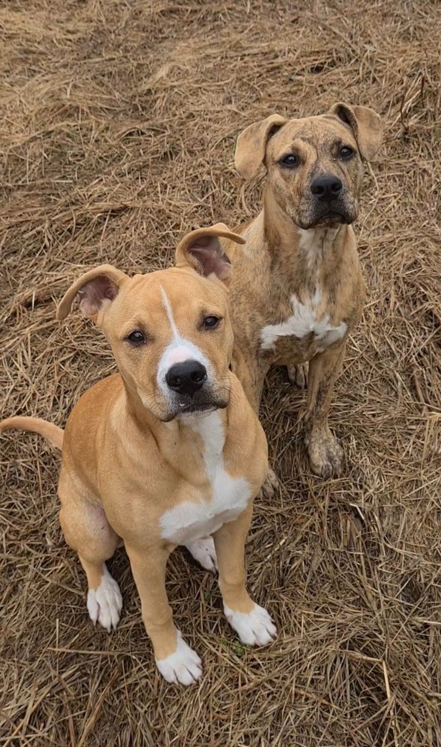 Gallery image: Harry