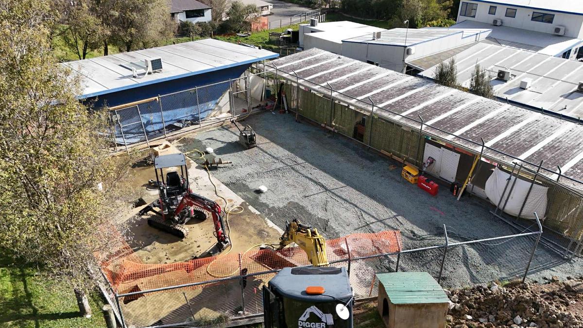 Canine quarantine upgrade underway in Nelson 