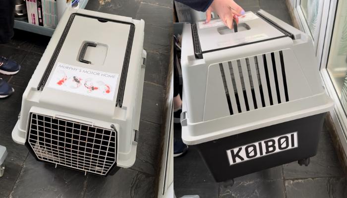 'Murphy's Motorhome' was used to transport him around the Centre.