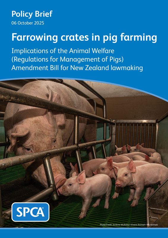 Farrowing crates in pig farming: Implications of the Animal Welfare (Regulations for Management of Pigs) Amendment Bill for New Zealand lawmaking - Minister Hoggard