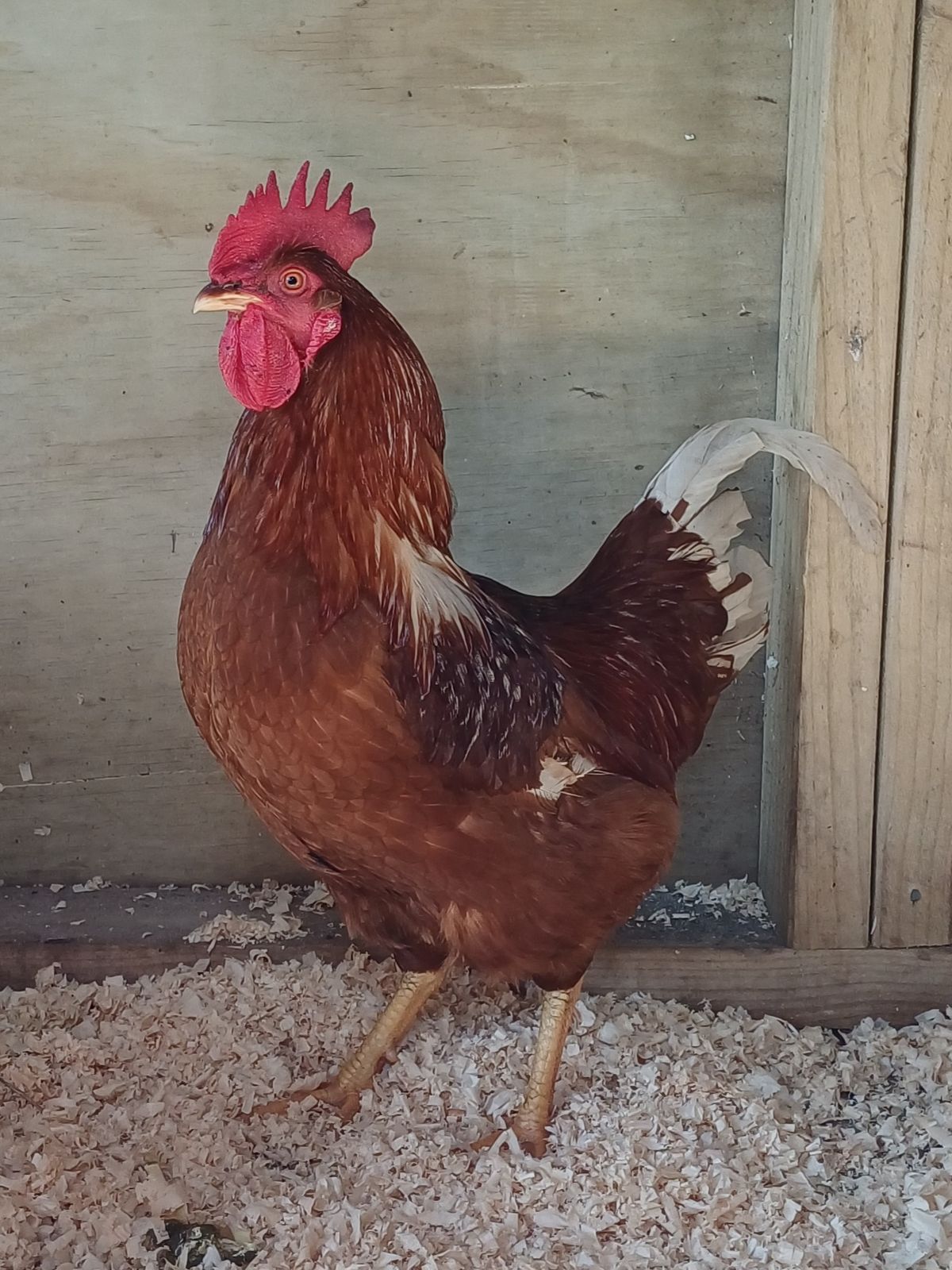 Gallery image: Malvern