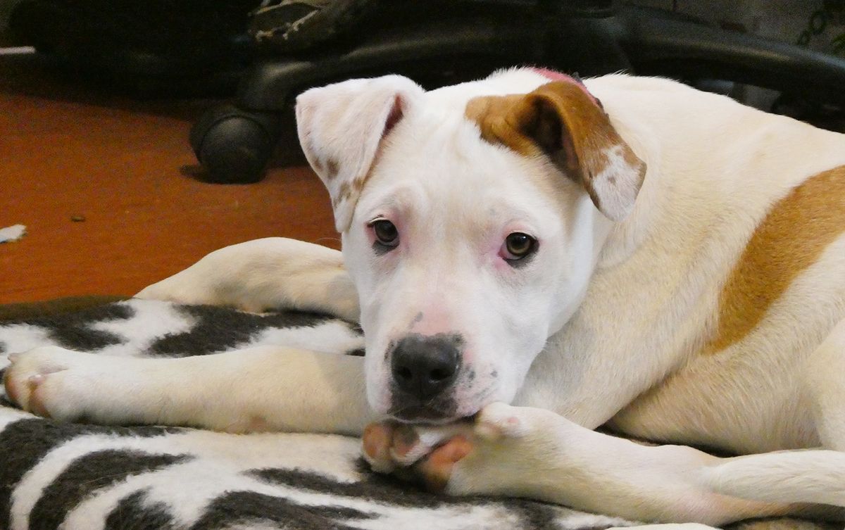 Gallery image: Storm