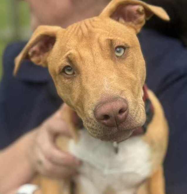 Gallery image: Bentley