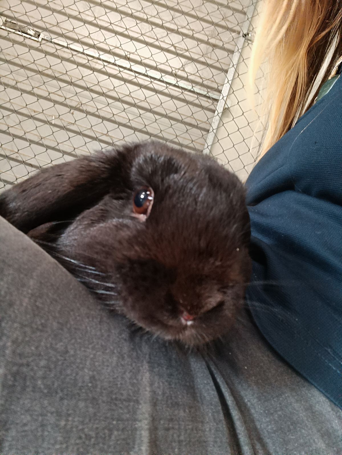 Gallery image: Randy