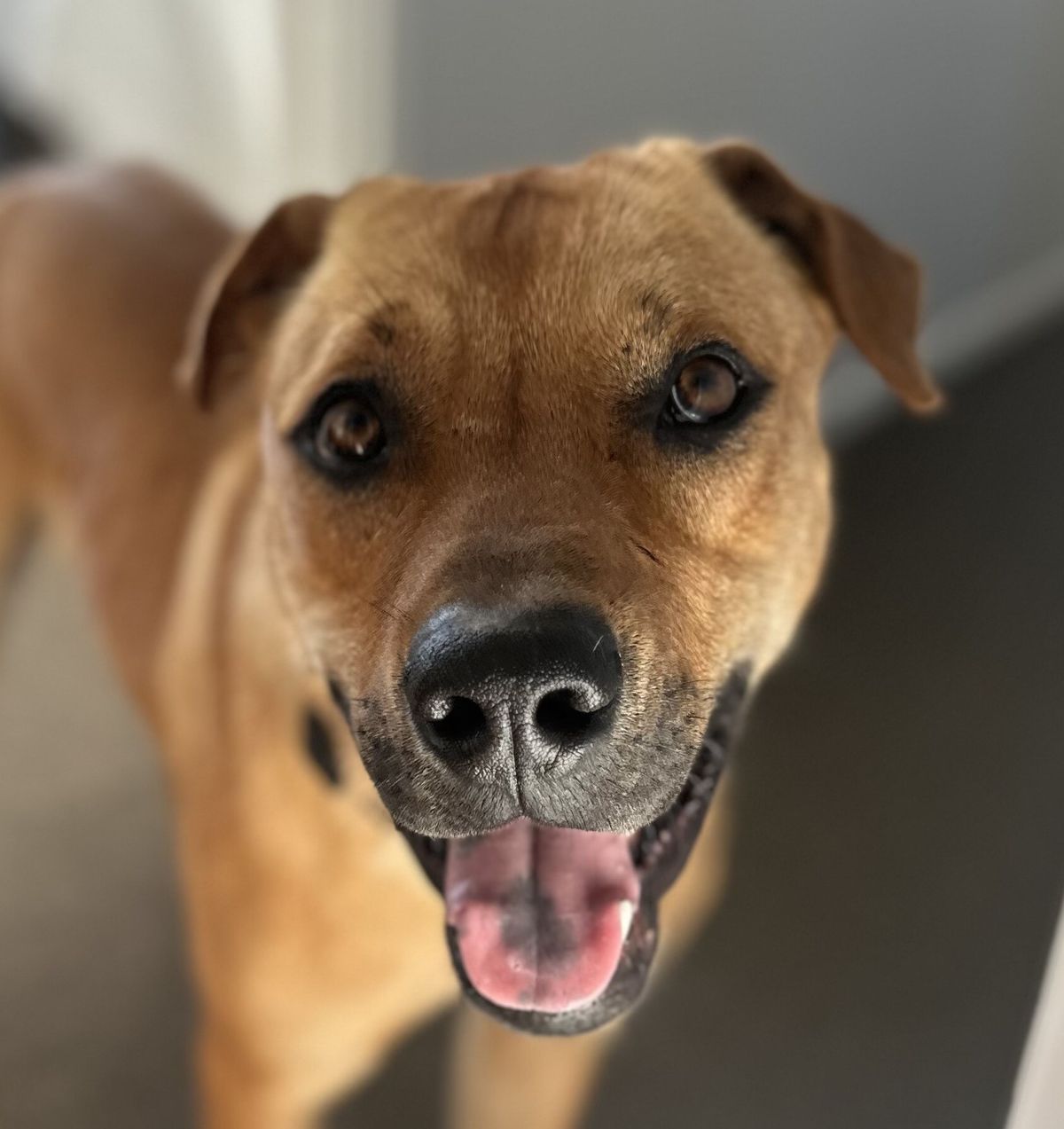 Gallery image: Stanley