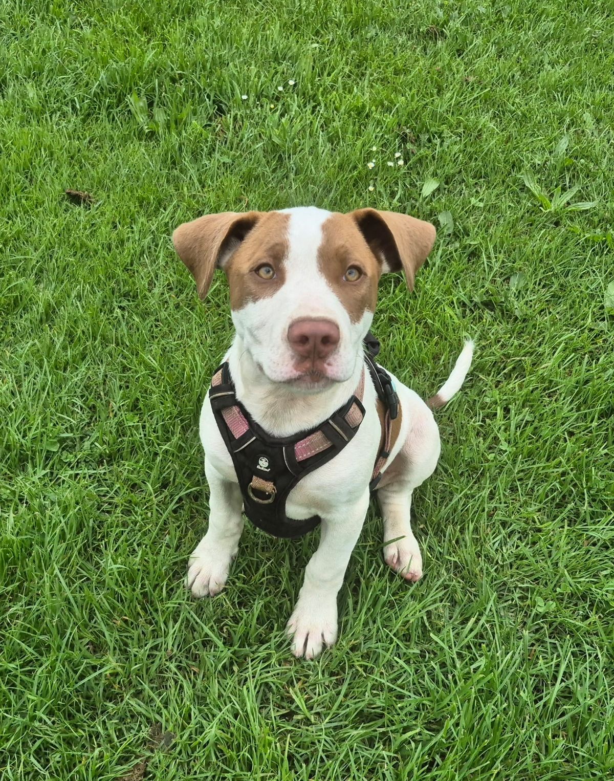 Gallery image: River