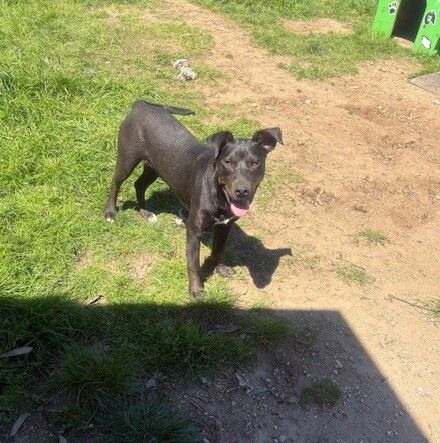 Gallery image: Junior