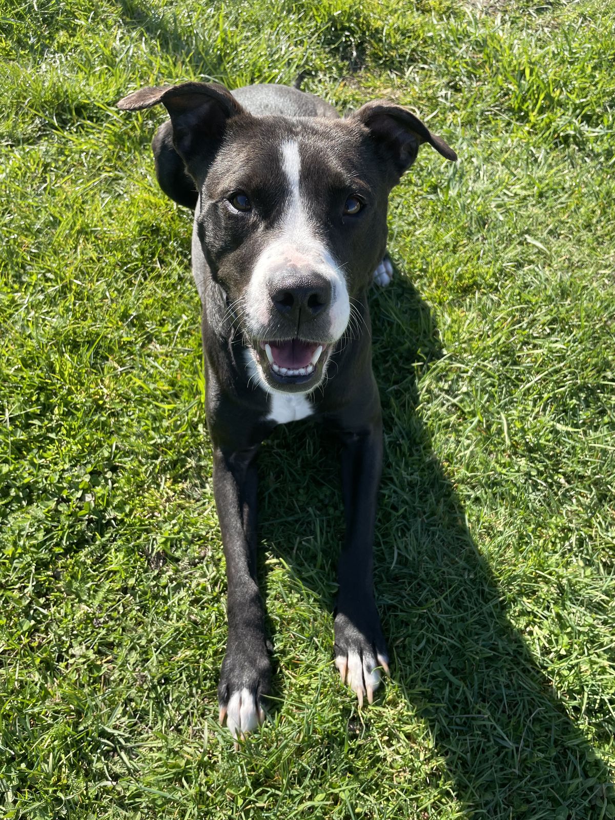 Gallery image: Lottie