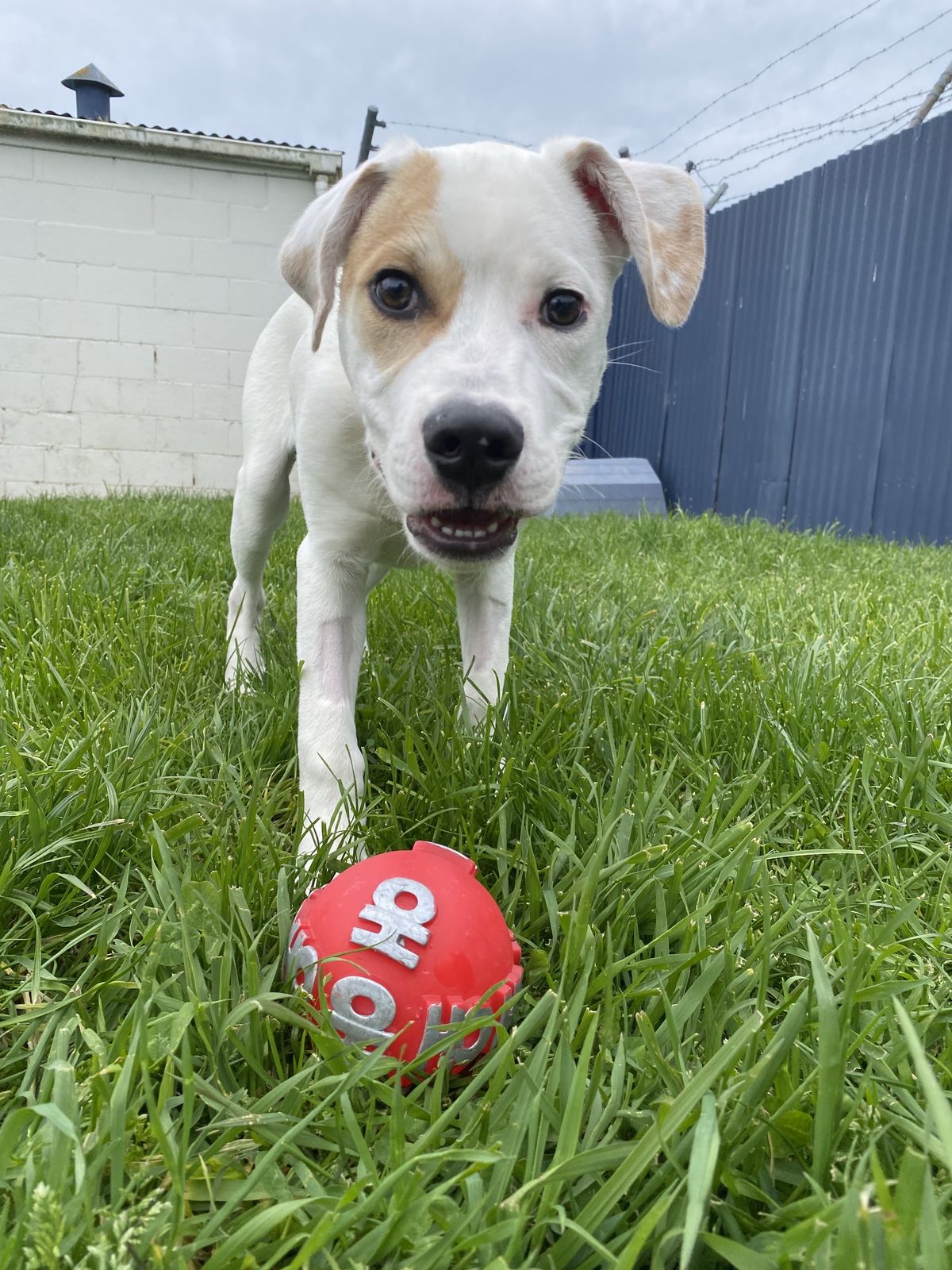 Gallery image: Manny