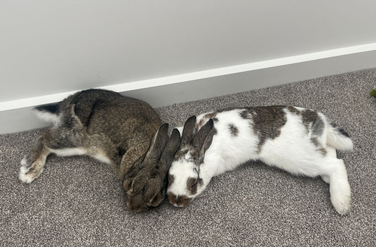 Gallery image: Billie