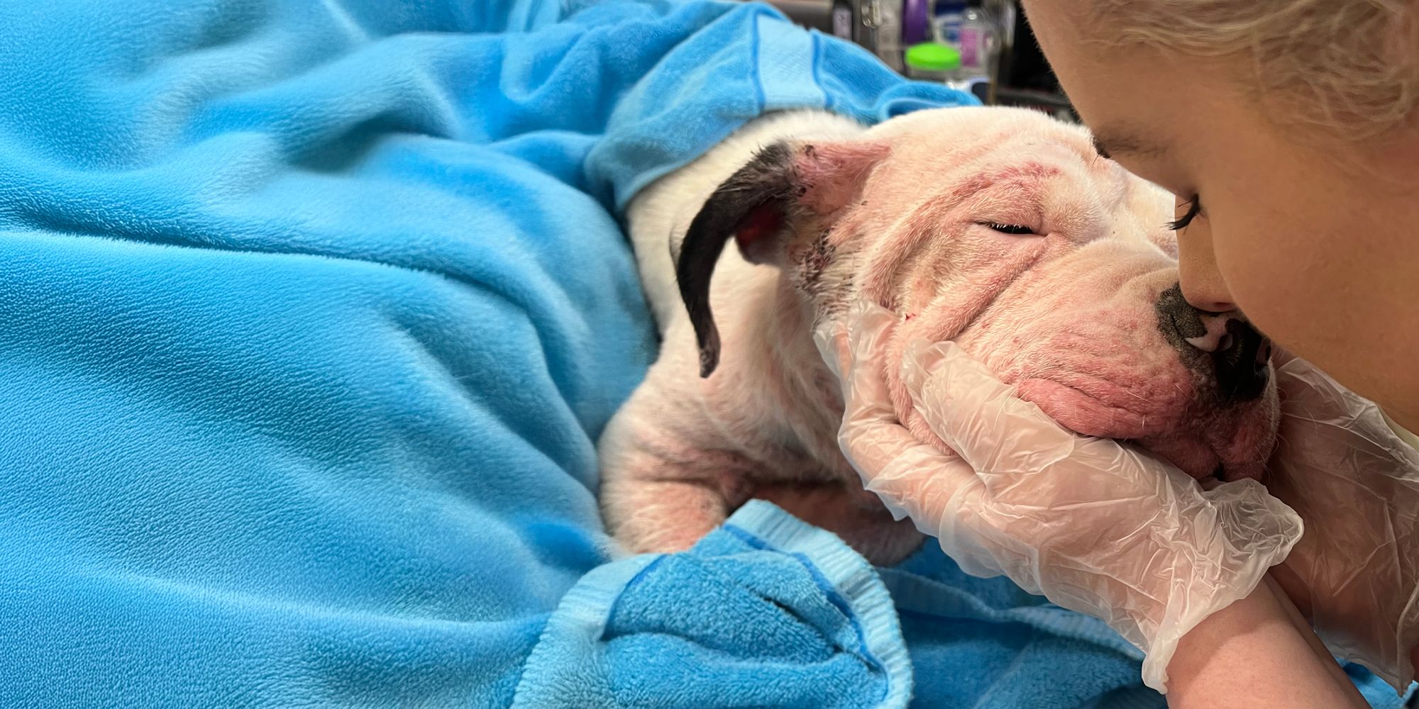 You can be the difference