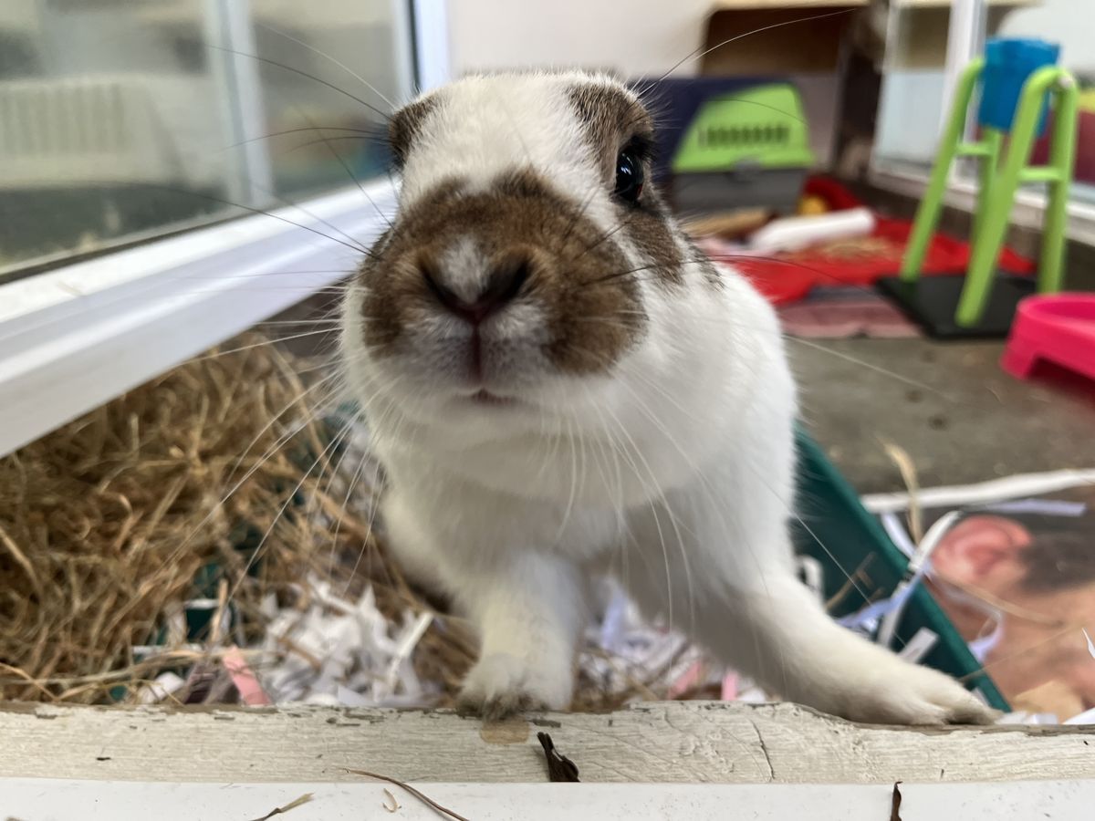 Gallery image: Billie