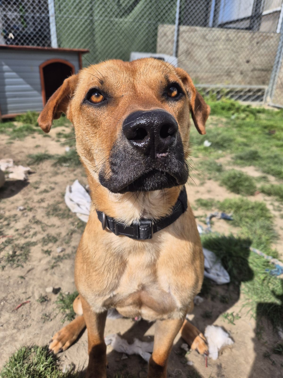 Gallery image: Stanley