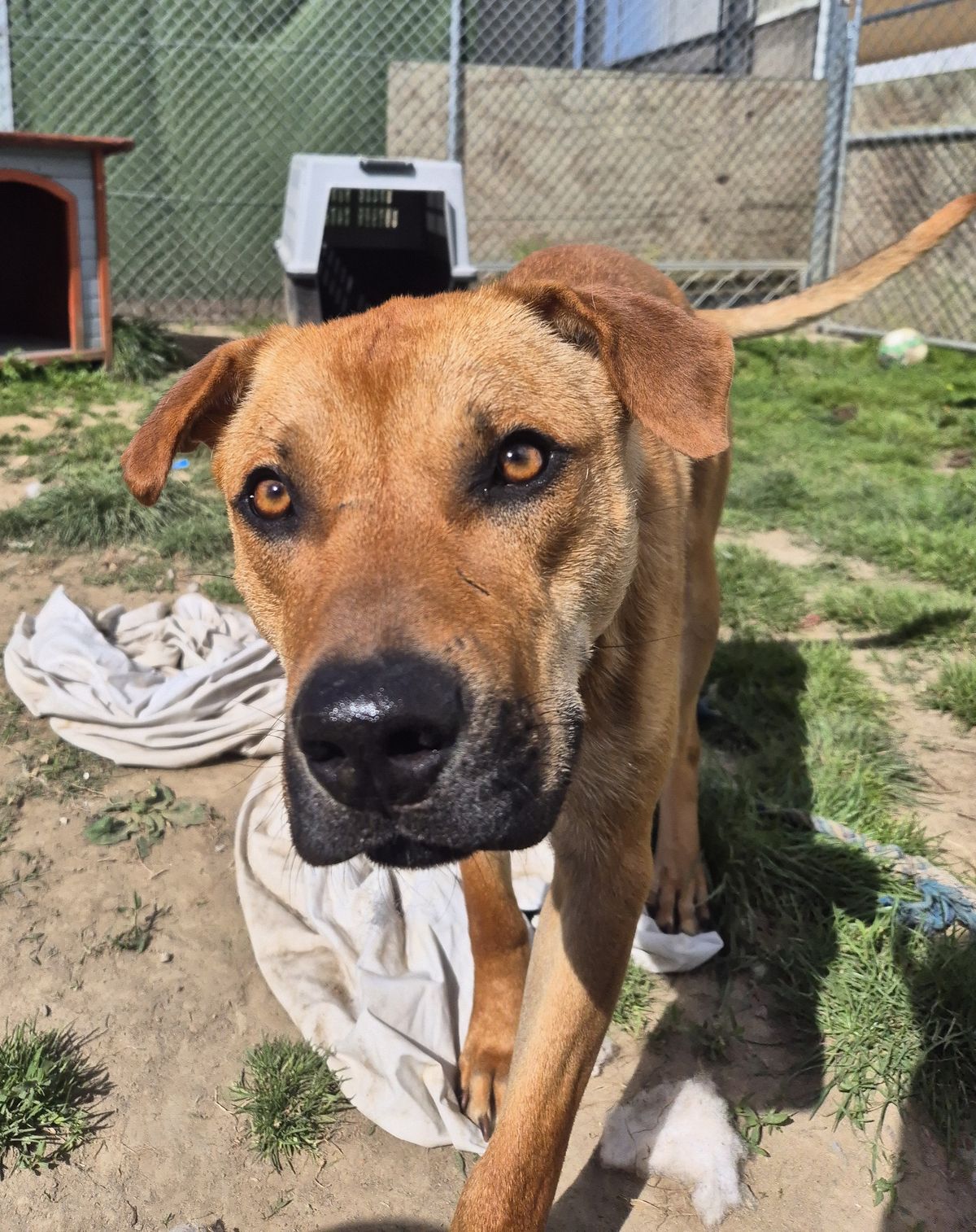 Gallery image: Stanley