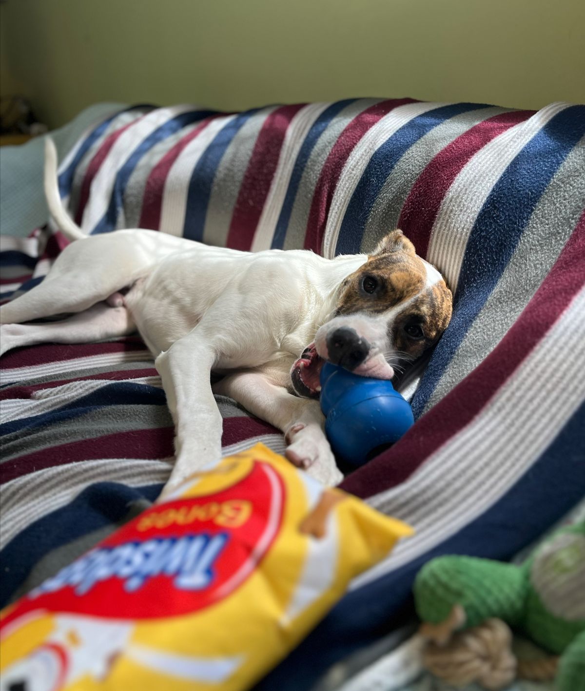 Gallery image: Shortbread