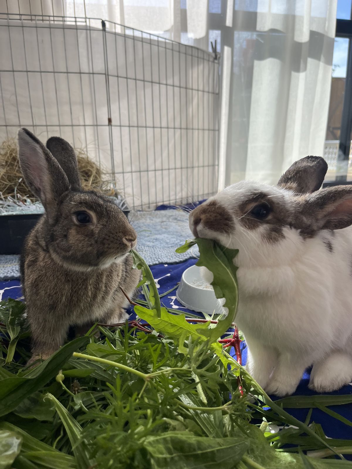 Gallery image: Billie