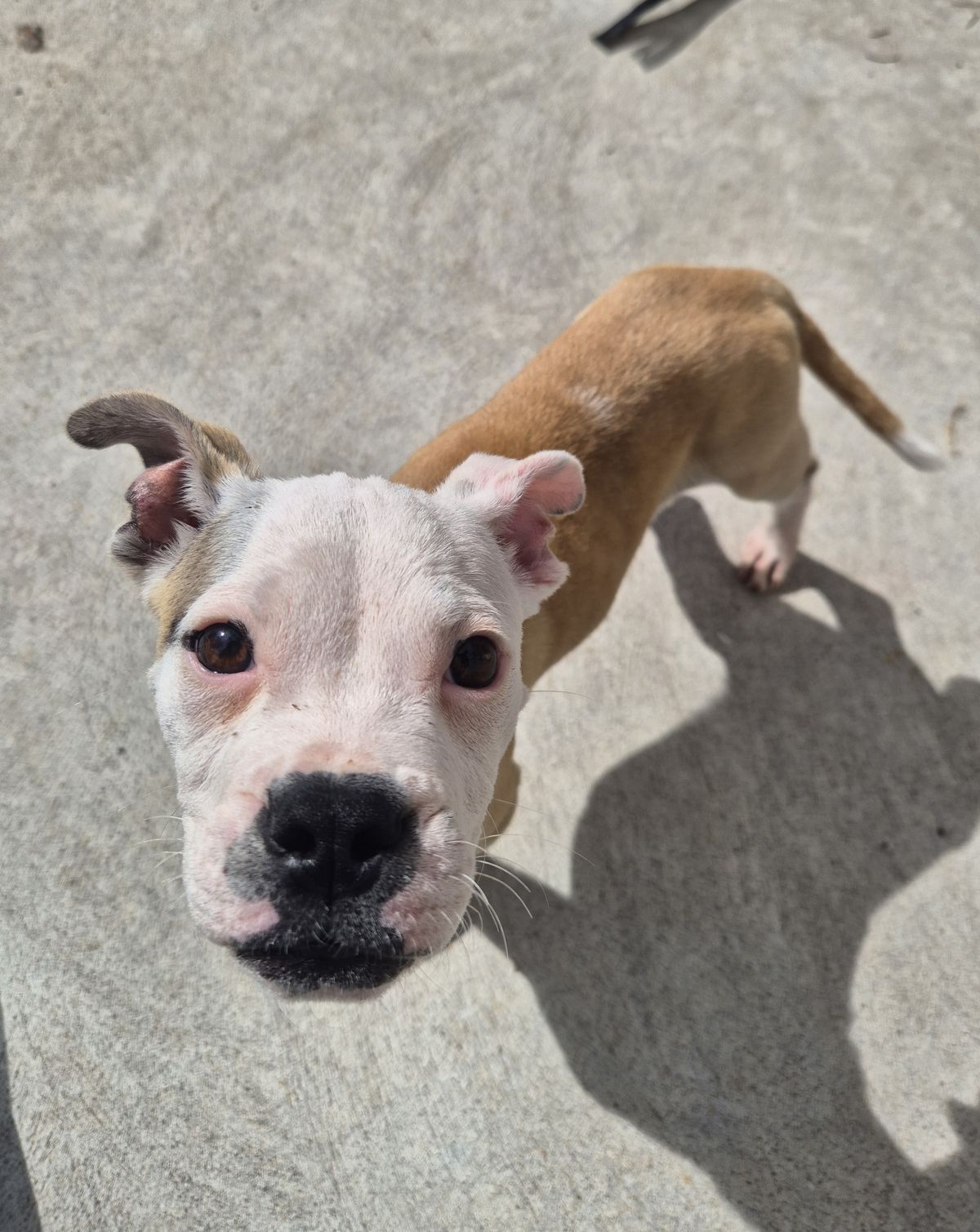 Gallery image: Violet