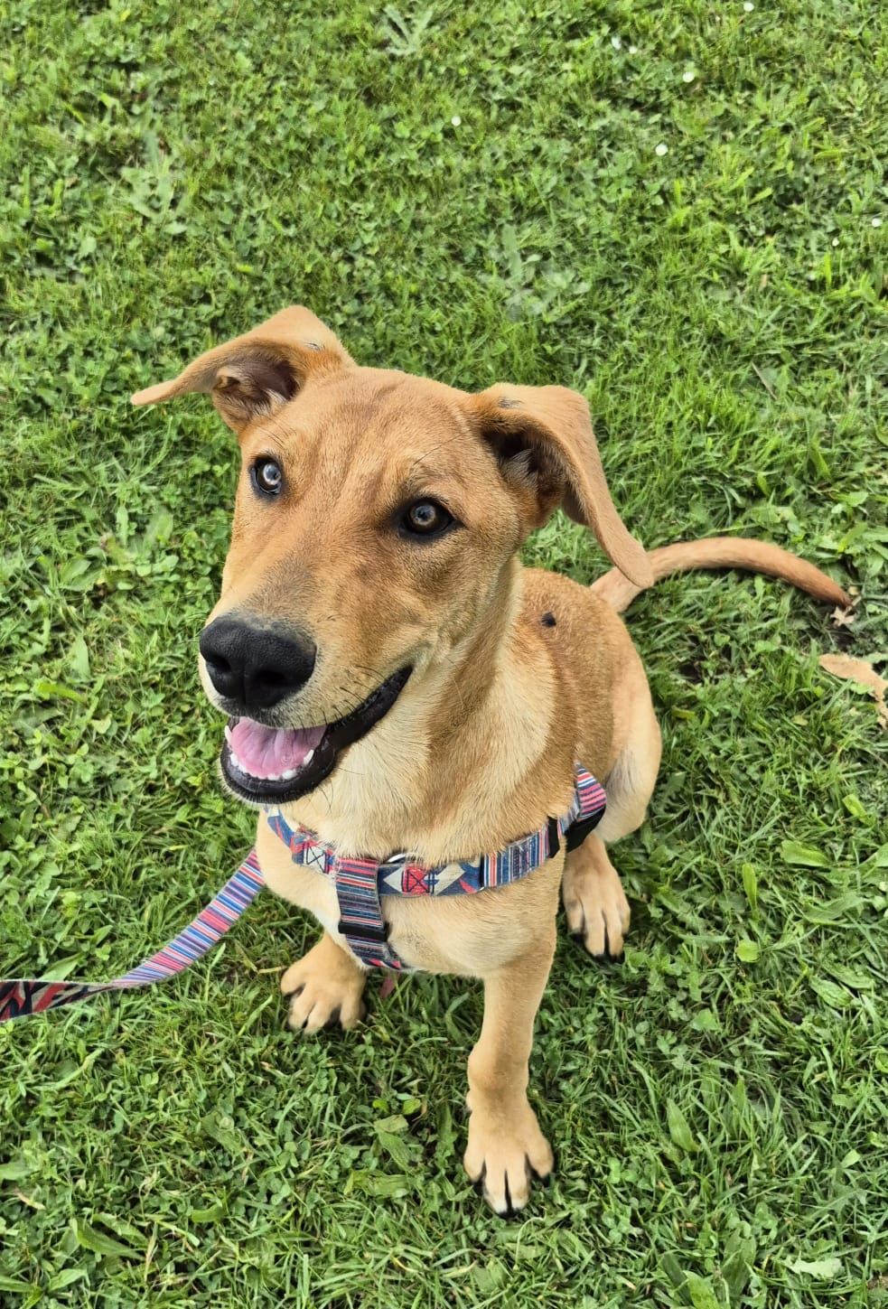 Gallery image: Pretzel