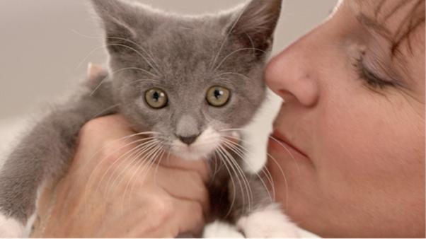 New Zealand joins Purina team to raise over $82,000 for animals in need 
