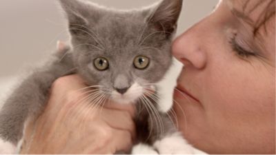New Zealand joins Purina team to raise over $82,000 for animals in need 