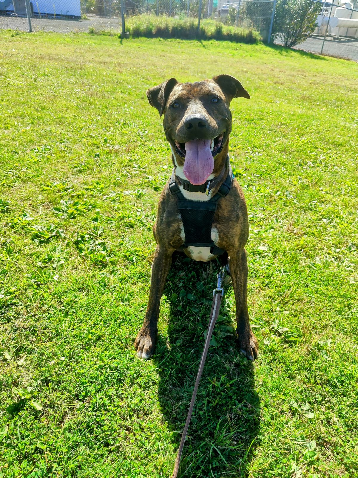 Gallery image: Arthur 