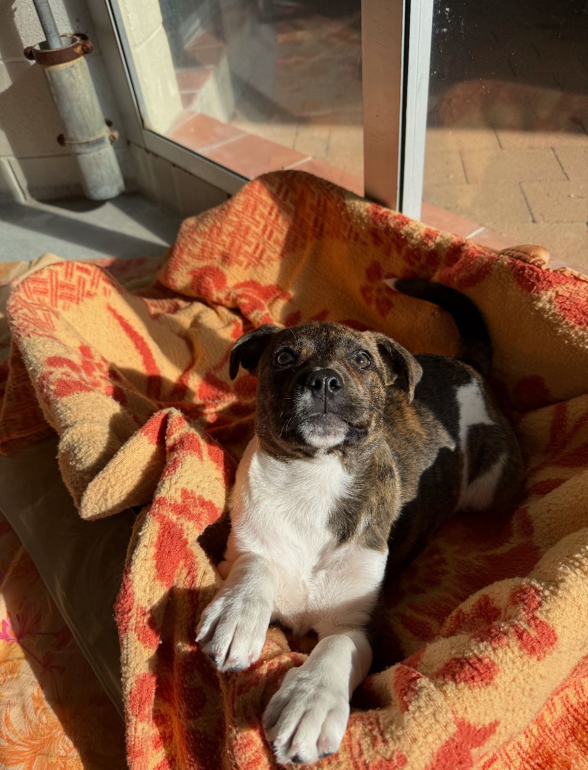 Gallery image: Gretel