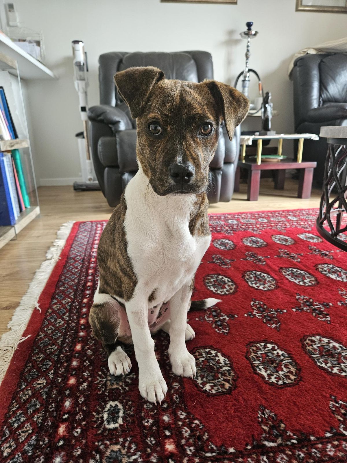 Gallery image: Gretel