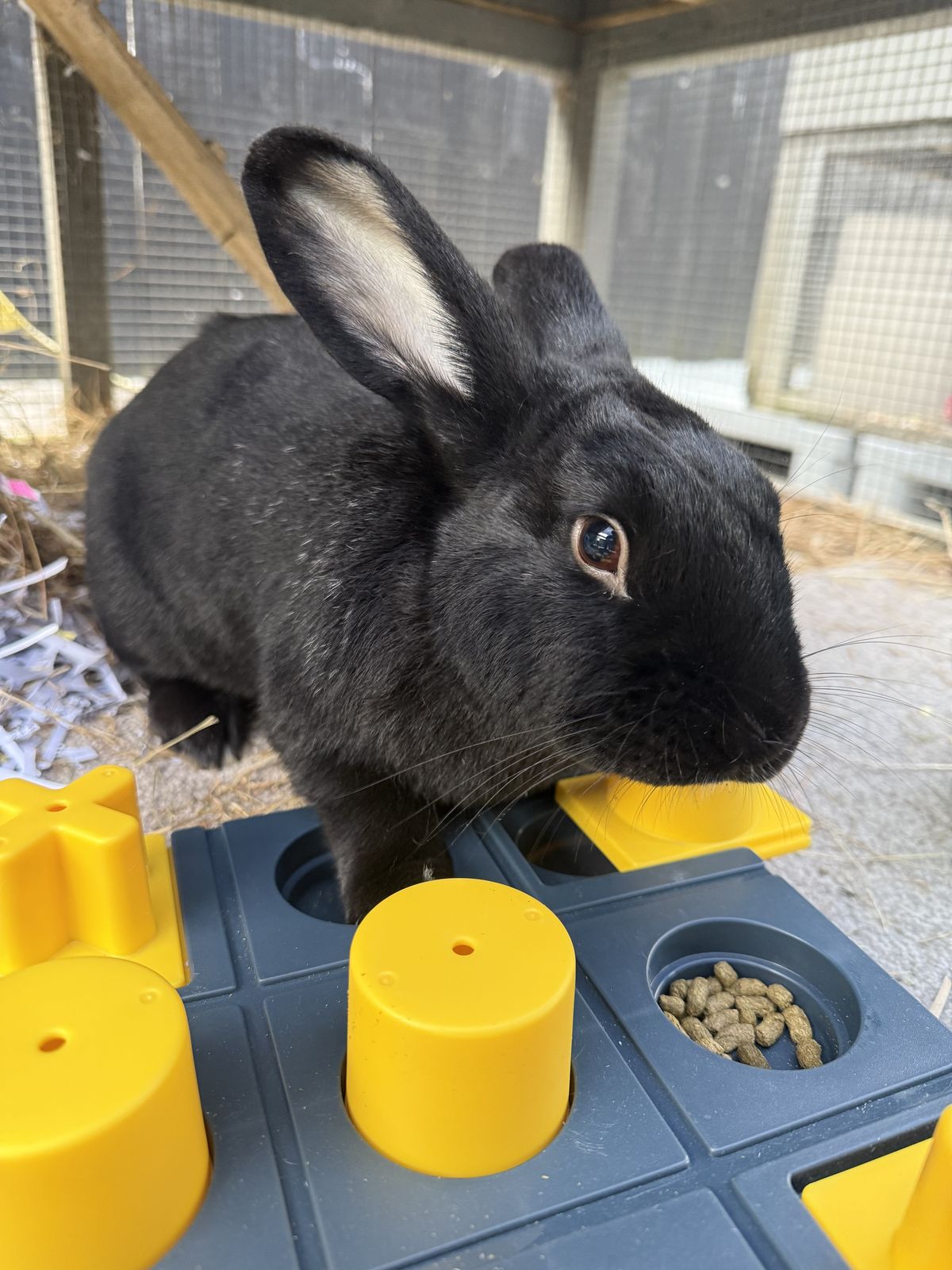 Gallery image: Moonshine