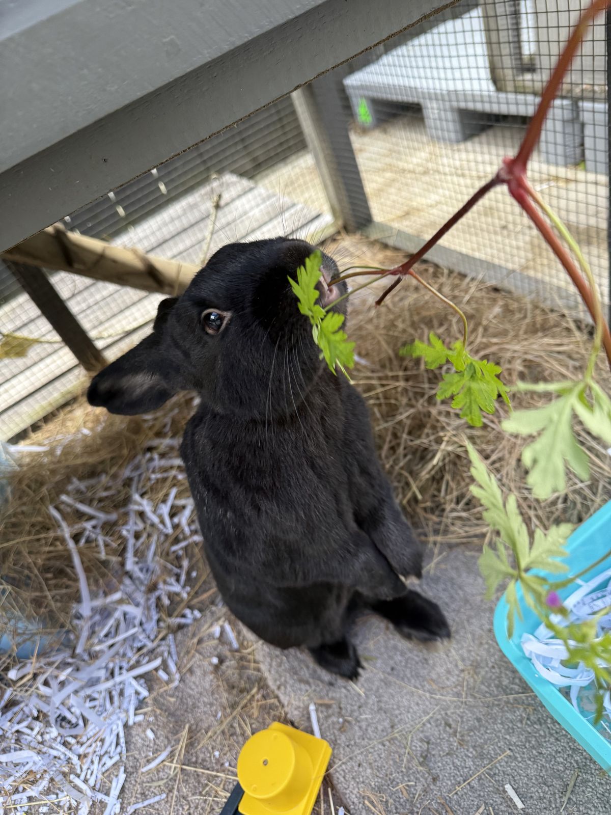 Gallery image: Moonshine