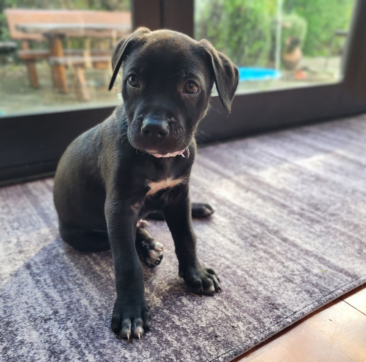 Gallery image: Jimmy