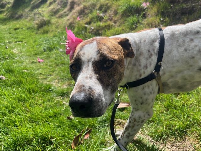 Gallery image: Skeeter