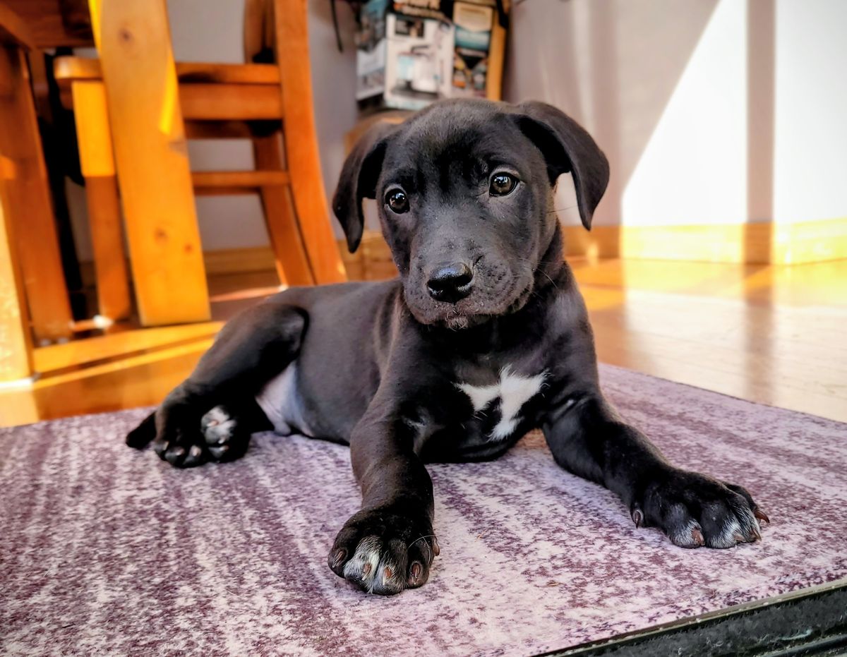 Gallery image: Timmy