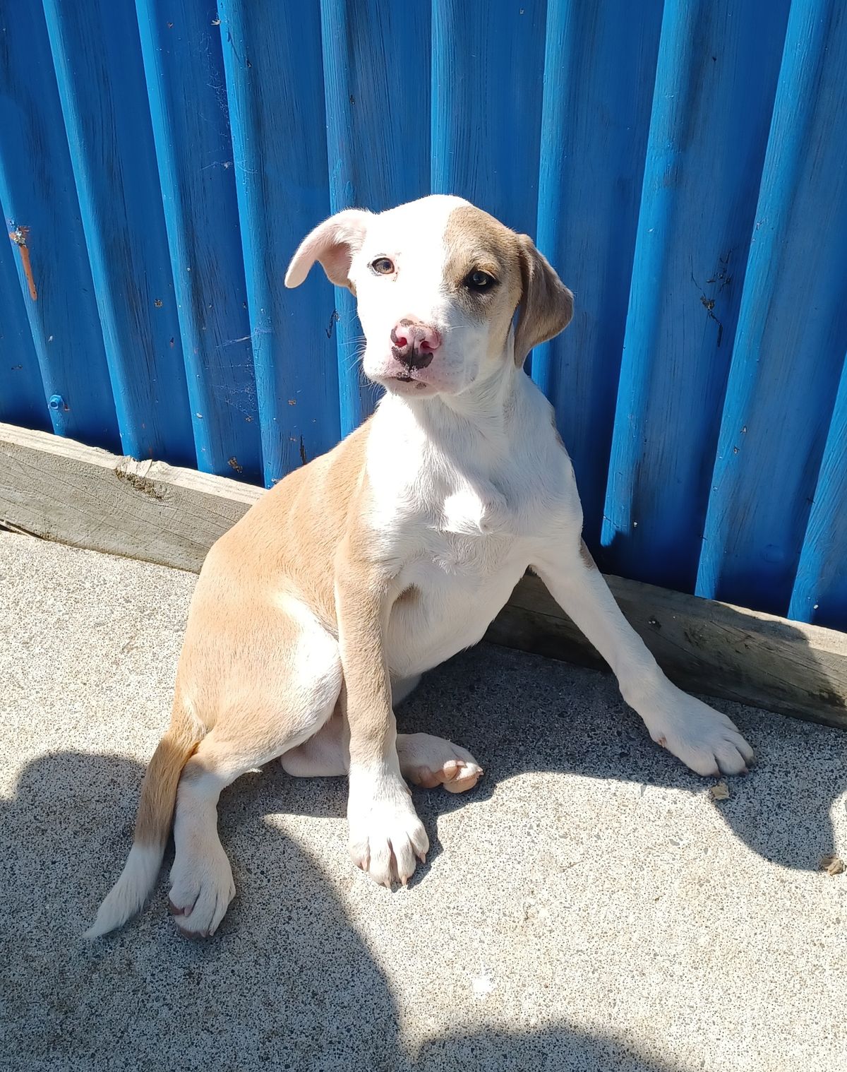 Gallery image: Greta