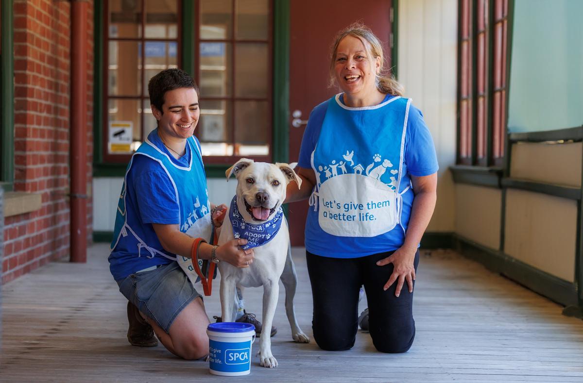 Events & Fundraising Volunteer