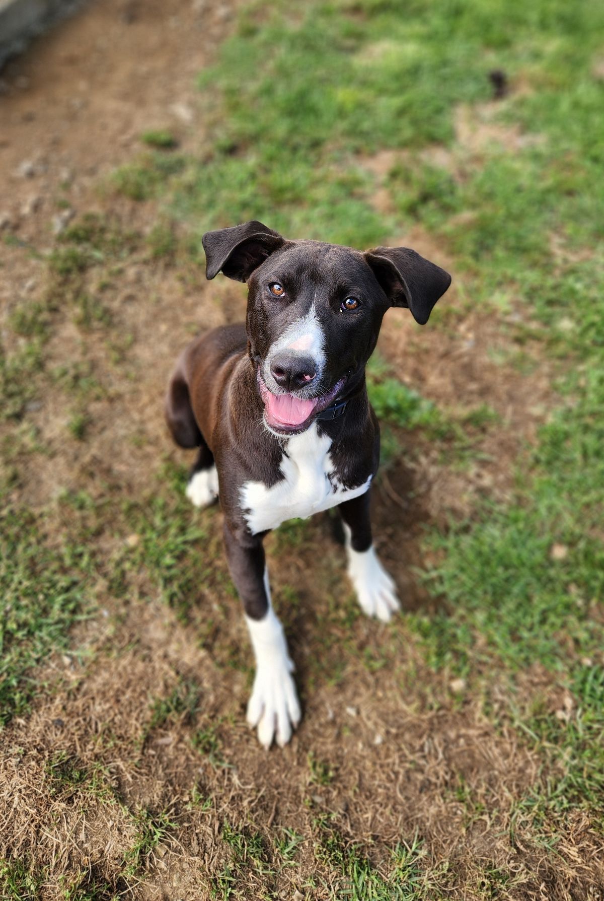 Gallery image: Topaz