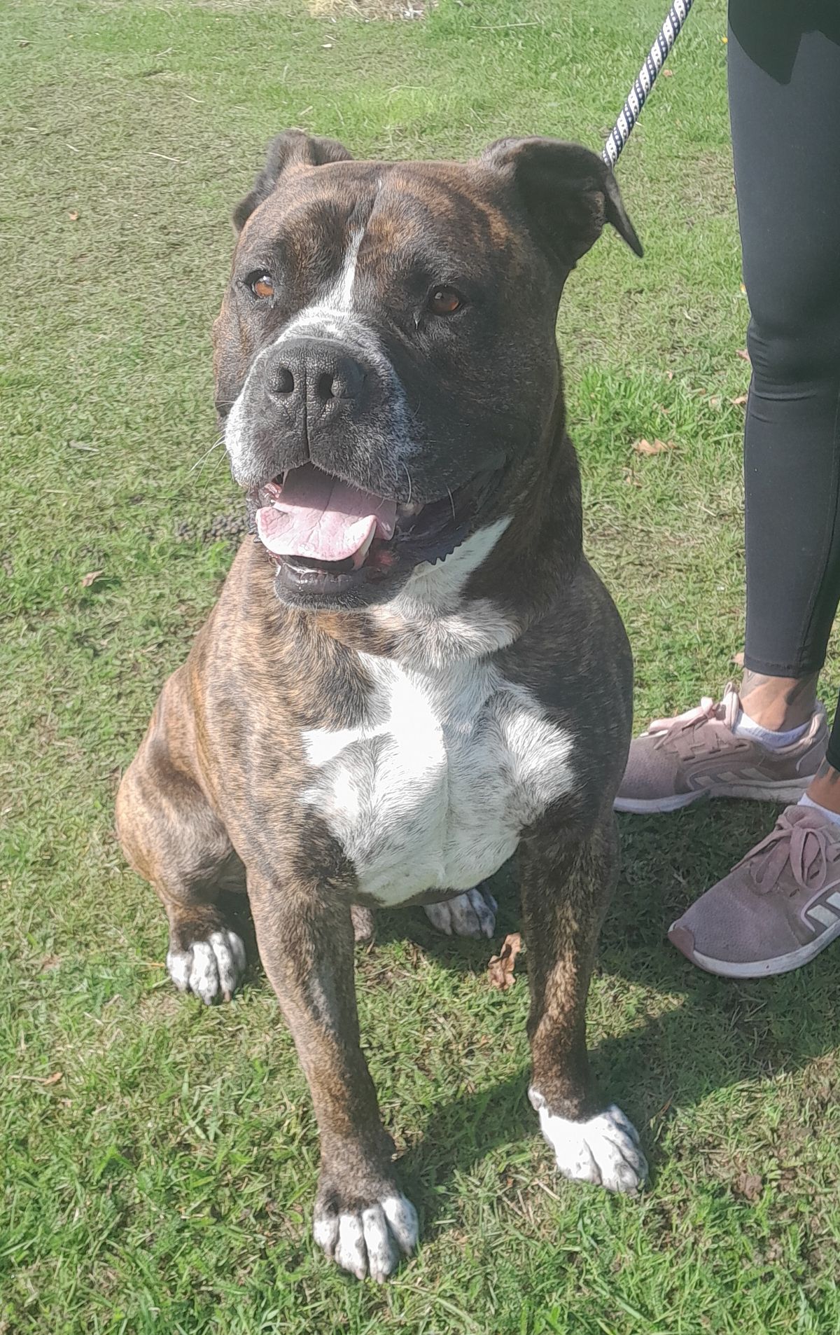 Gallery image: Arnie